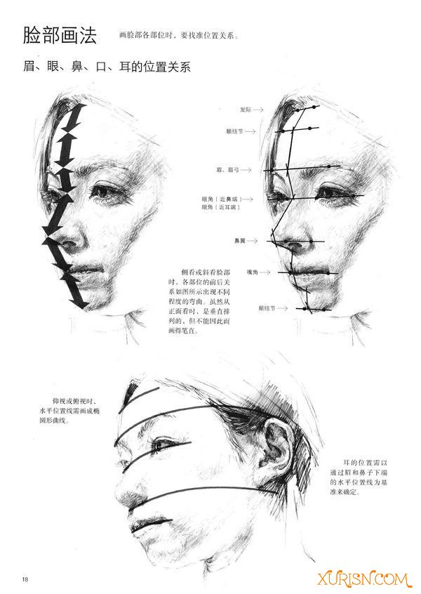 原画绘画教程-（中文版）美术家·设计师必备：人体结构写生应用手帖 PDF(4)