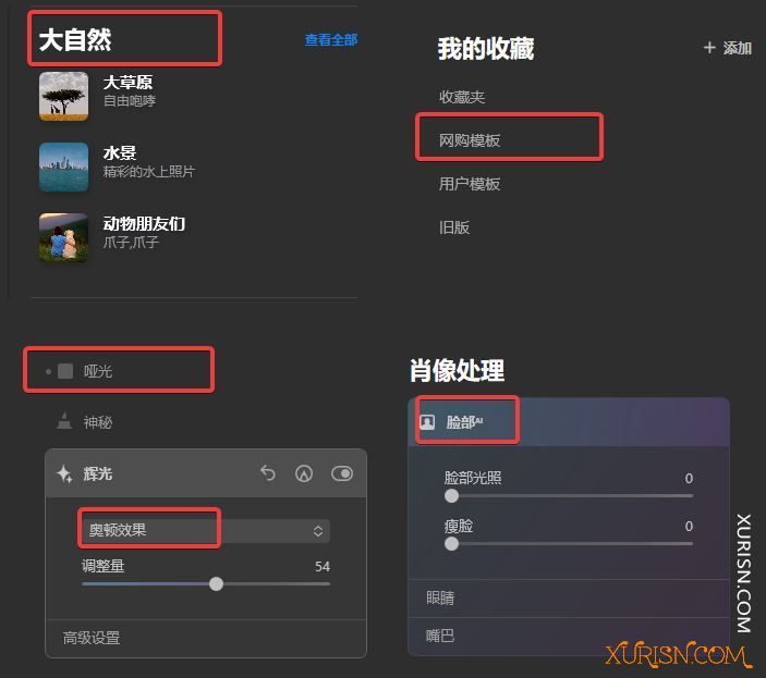 软件下载-智能图像后期处理软件Luminar AI 1.5.5 (10909) 中文修正版(1)