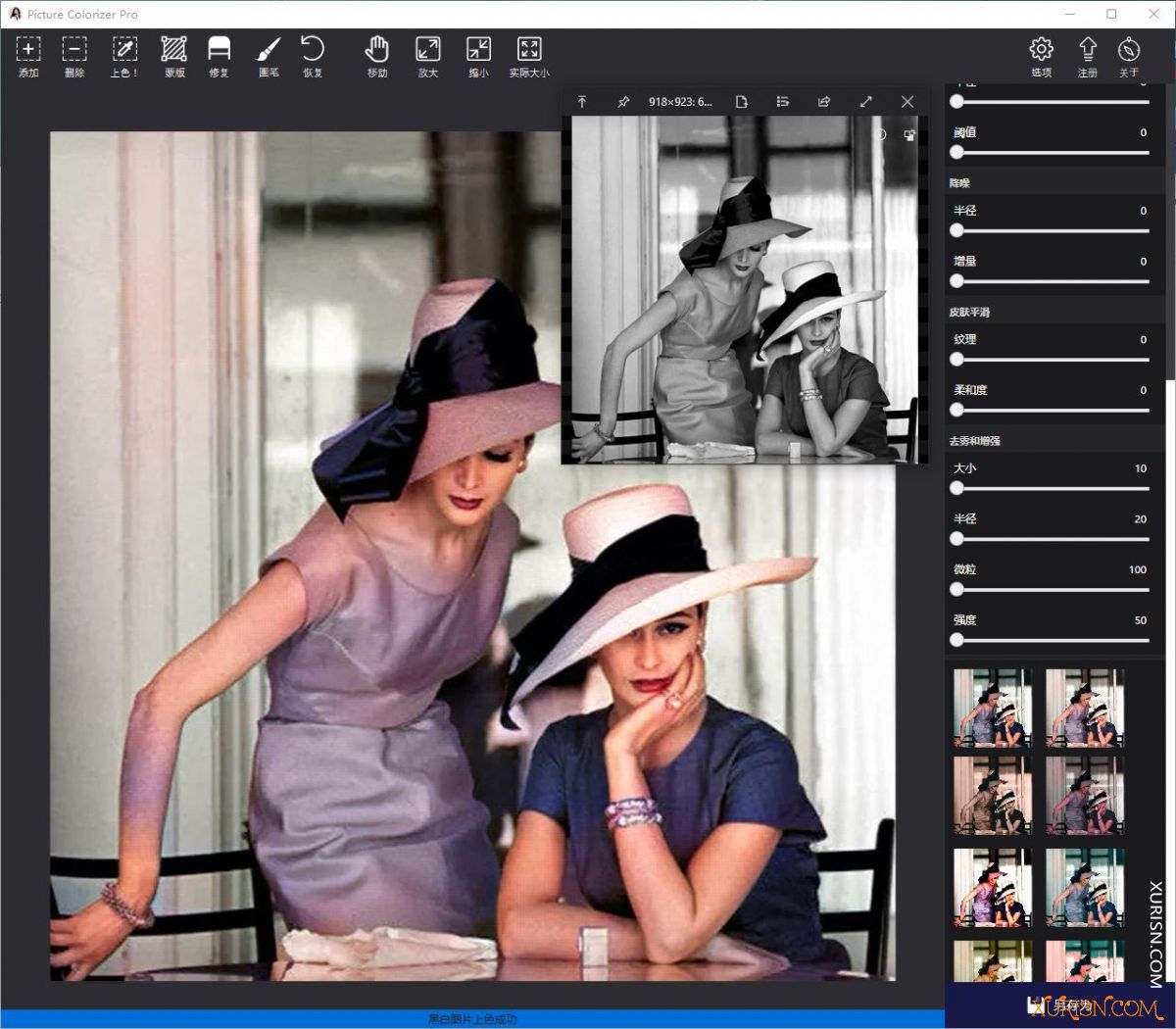 软件下载-Picture Colorizer Pro 3.1.0中文汉化版|黑白照片智能一键上色软件(4)