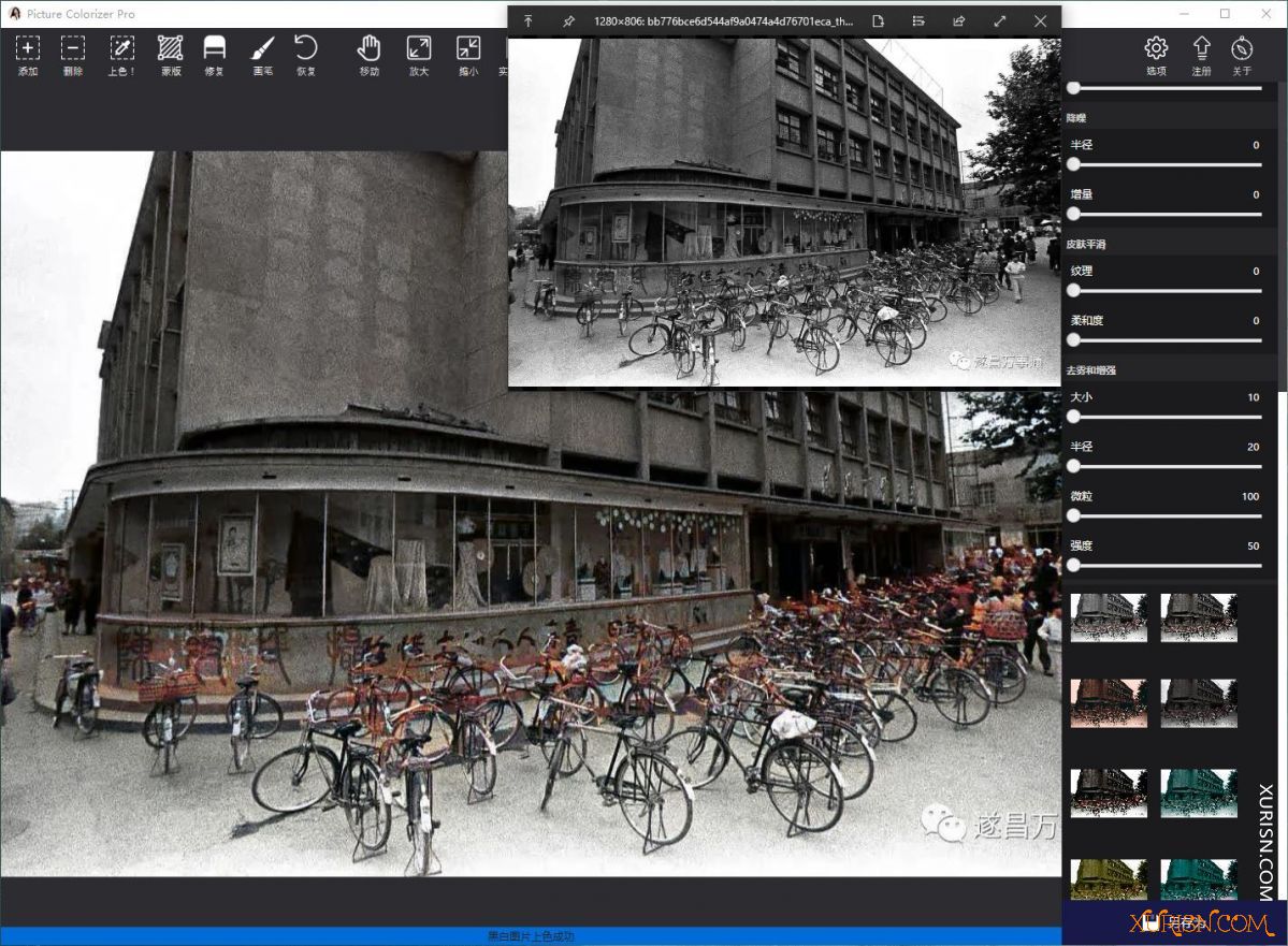 软件下载-Picture Colorizer Pro 3.1.0中文汉化版|黑白照片智能一键上色软件(8)