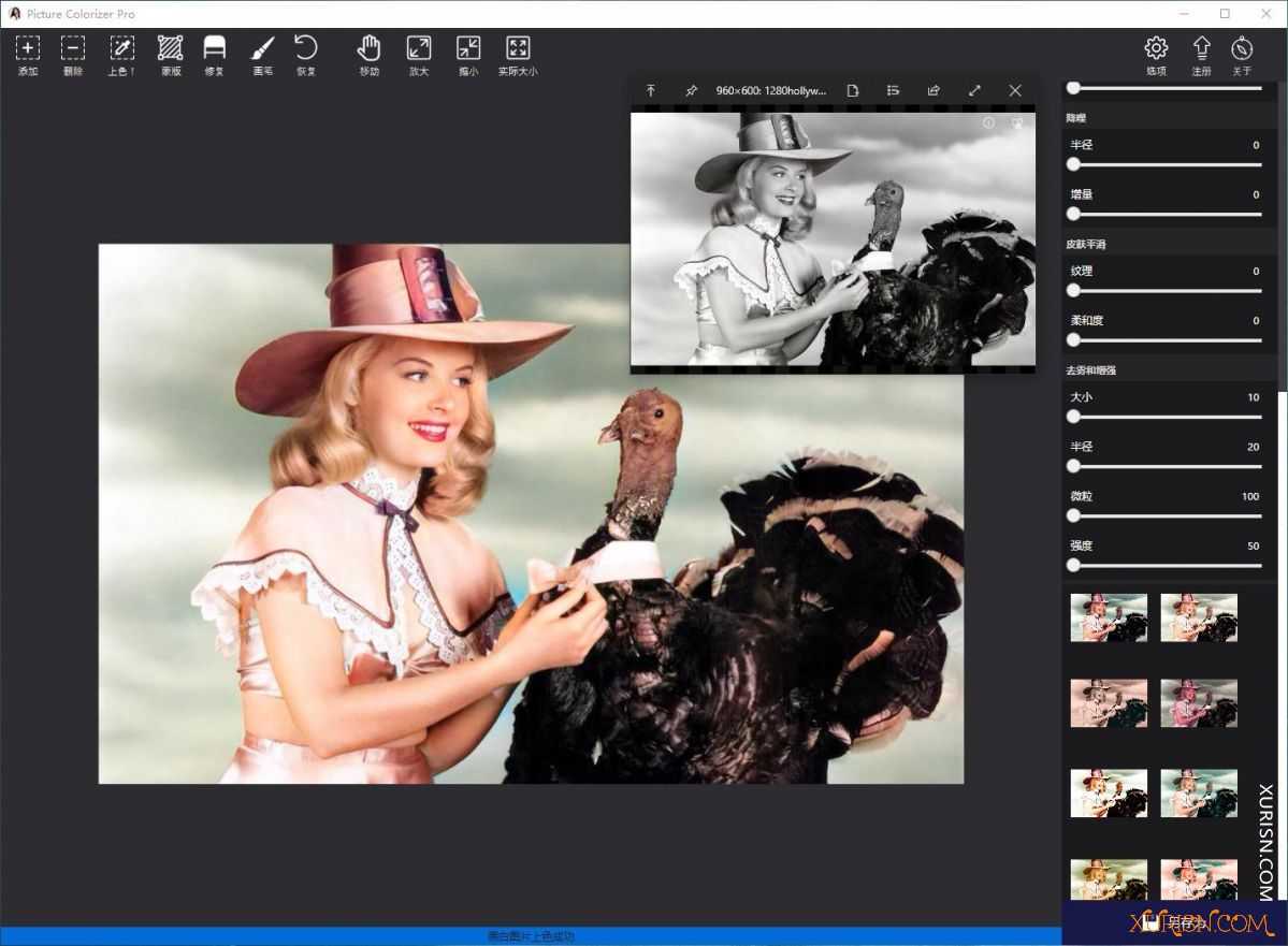 软件下载-Picture Colorizer Pro 3.1.0中文汉化版|黑白照片智能一键上色软件(7)