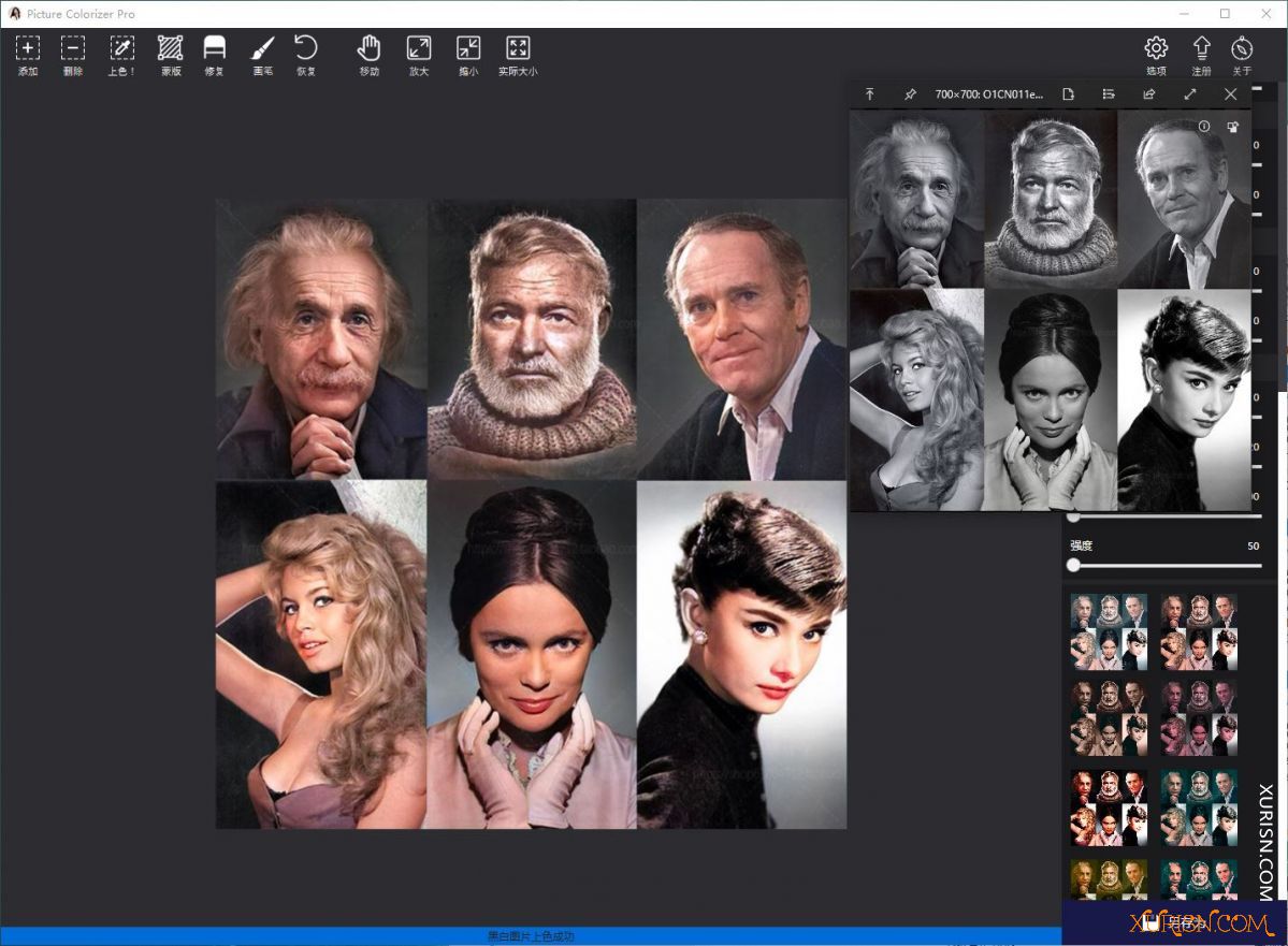 软件下载-Picture Colorizer Pro 3.1.0中文汉化版|黑白照片智能一键上色软件(9)