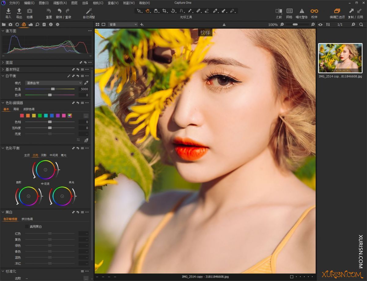 软件下载-飞思图像编辑处理软件Capture One 22 v15.4.2 WIN+MAC中文版(4)