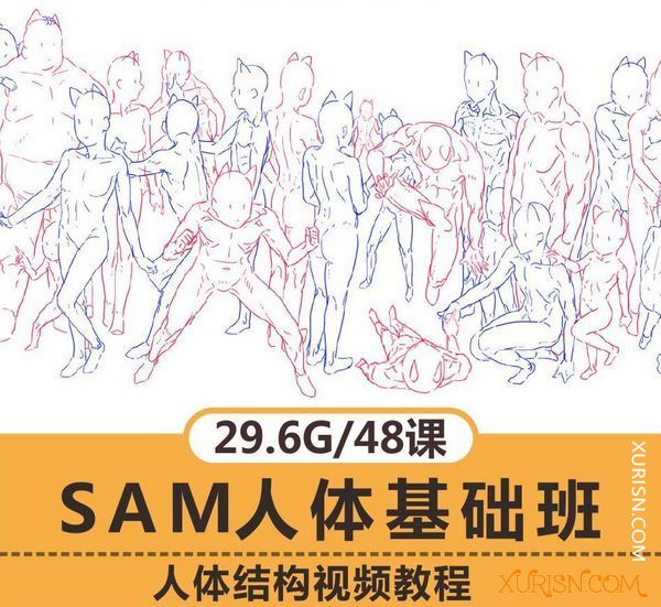 原画绘画教程-SAM人体基础网络班人体结构教程SAI游戏动漫人物基础绘制29.6G(3)