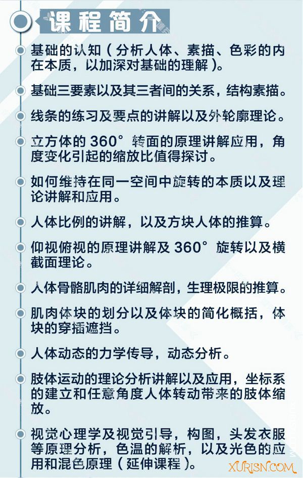 原画绘画教程-SAM人体基础网络班人体结构教程SAI游戏动漫人物基础绘制29.6G(6)