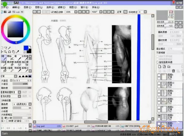 原画绘画教程-SAM人体基础网络班人体结构教程SAI游戏动漫人物基础绘制29.6G(8)